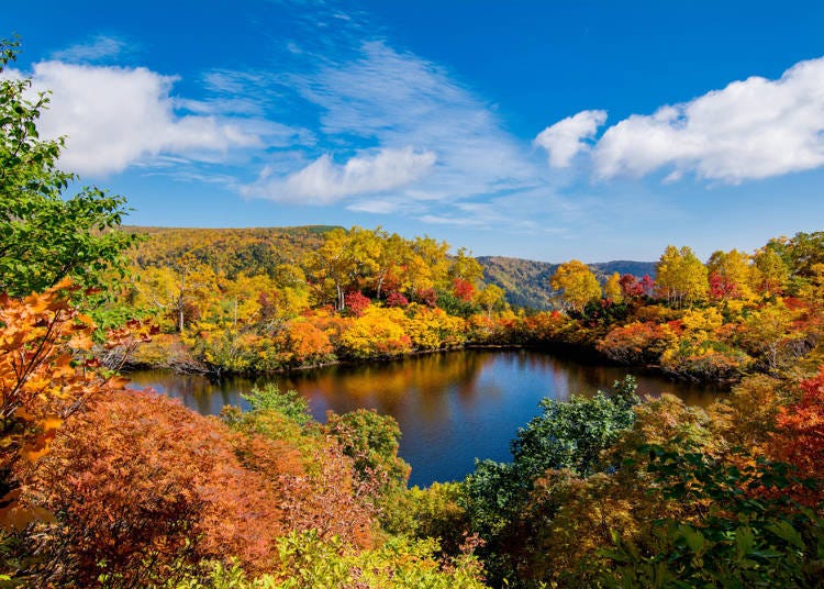 &amp;#39;You’ll Never Forget Once You See It!&amp;#39; 5 Incredible Surprises ...