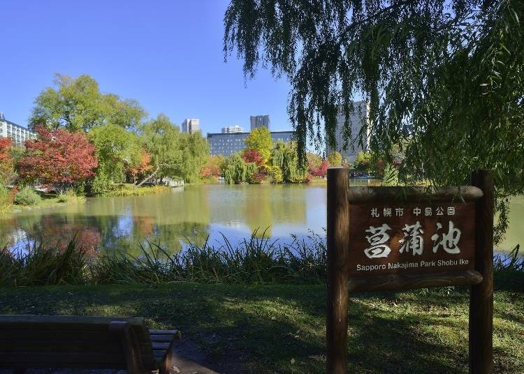 「北海道馬拉松」路線南側：「中島公園」參觀日本庭園與茶室
