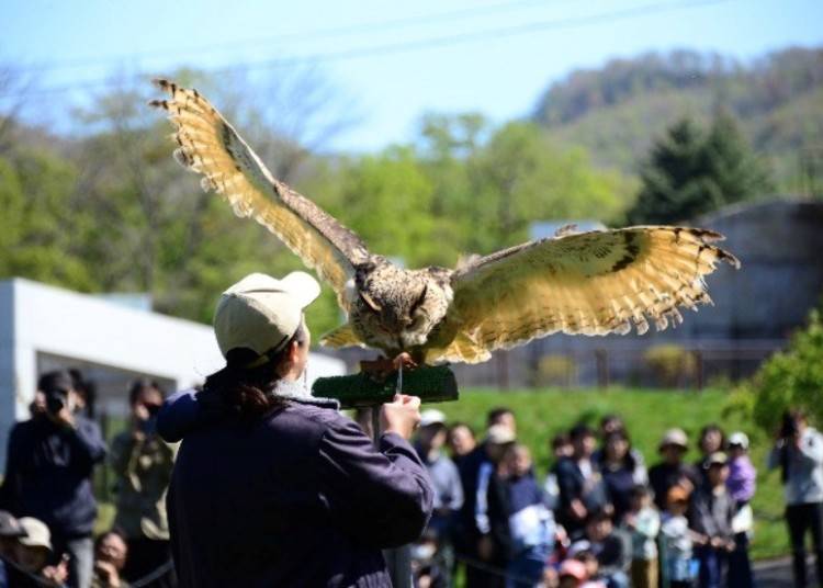 ■7：迫力ある動物の姿にドキドキする