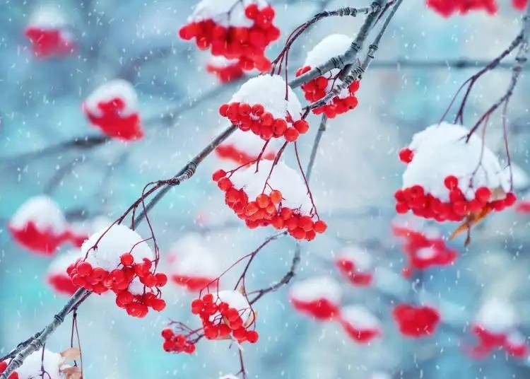 照片來源:站內文章article-a1000208