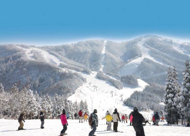 Other Useful Items for a Ski Trip to Japan