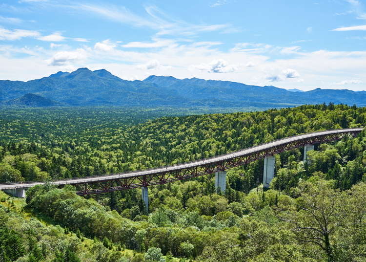 5 Hokkaido Road Trips Through The Inspirational Scenery Of Japan's Heartland