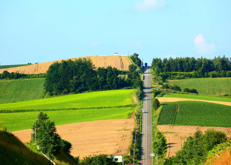 1. Are you brave enough for the Roller Coaster Road? (Kamifurano)