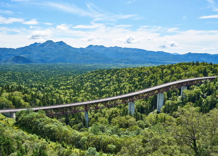 4. The vast sea of trees at Mikuni Toge Pass (Central Hokkaido)