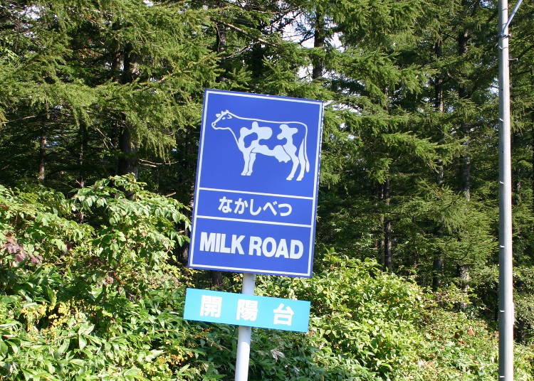 5. Beautiful Milk Road, a symbol of Hokkaido - the dairy farm king! (Northeast Hokkaido)