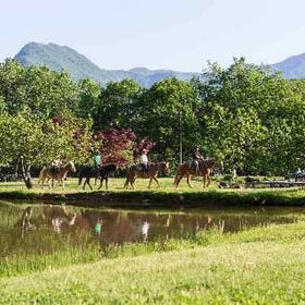 Horseback Riding in Nature
▶Tap to reserve
Photo: KKday Japan