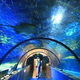 (Cool off at the aquarium) Noboribetsu Marine Park NIXE
▶Tap to book tickets
Photo: Klook
