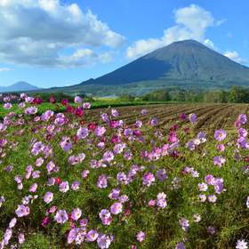 (Beautiful Scenery of Ezo Fuji) Mt. Yotei