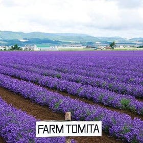 Furano Departure Farm Tomita, Blue Pond, Shirahige Waterfalls tour
▶Tap to reserve
Photo: Klook