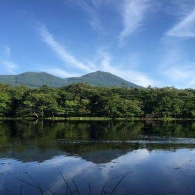 Shiretoko Five Lakes Half-Day Guided Walking Tour
▶Tap to book
Photo: Klook