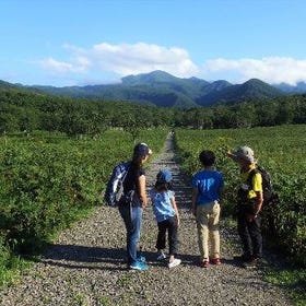 Furepe Waterfall Tour
▶Tap to reserve
Photo: KKday Japan