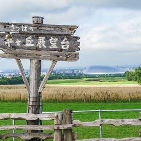 [夏日美景與可愛羊群] 札幌羊之丘展望台
▶點擊訂票
圖片提供：Klook