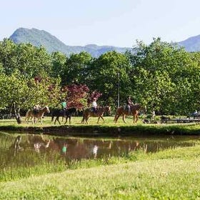 大自然中的騎馬體驗
▶點擊預約
圖片提供：KKday Japan