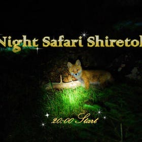 知床半島夜間野生動物探索之旅
▶點擊預約
圖片提供：Klook