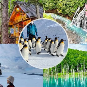 旭川動物園&網紅美瑛樹&白鬚瀑布&白金青池一日遊
▶點擊預約
圖片提供：Klook