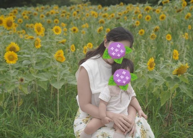 Hokkaido Summer Weather Guide (June, July, August) + Tips from a Japan-Based Writer