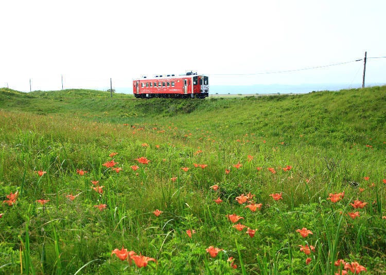 (Gambar: Artikel LIVE JAPAN #a1000297)