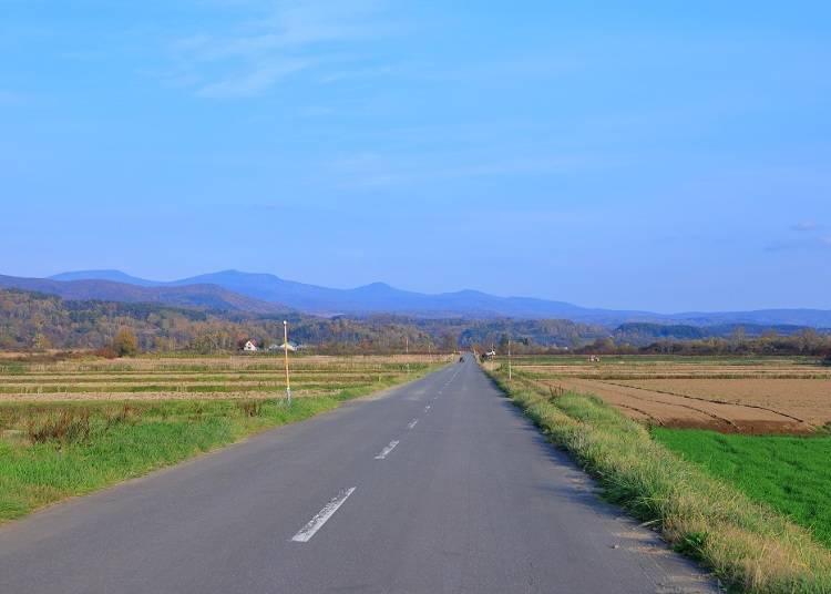 In Japan, it is left-hand traffic and right-hand drive