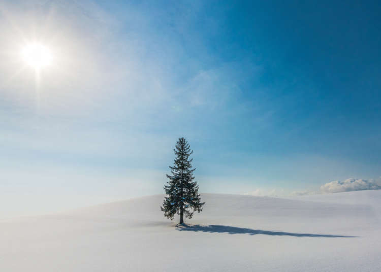 Hokkaido Destinations: 5 Things That Amazed Visitors About Hokkaido’s Otherworldly Natural Beauty