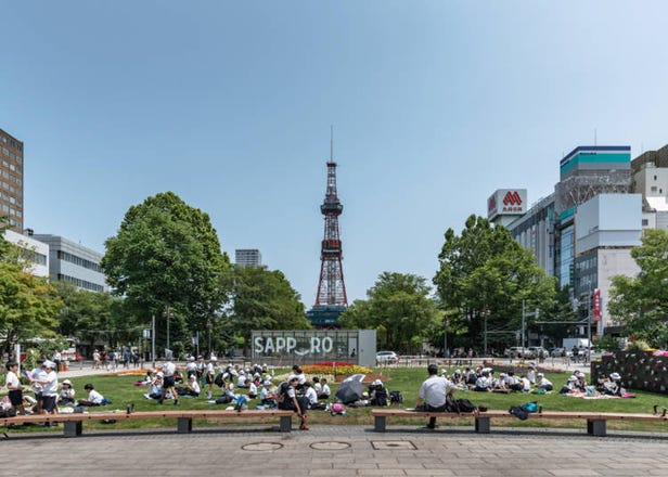 夏天的北海道是這樣？「夏日北海道之旅」的實際旅遊經驗談