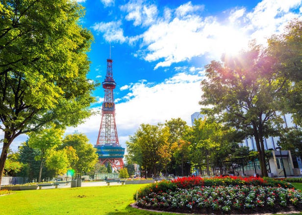 不只日本人！連外國人也想選擇「住在北海道」的最大理由是這個！