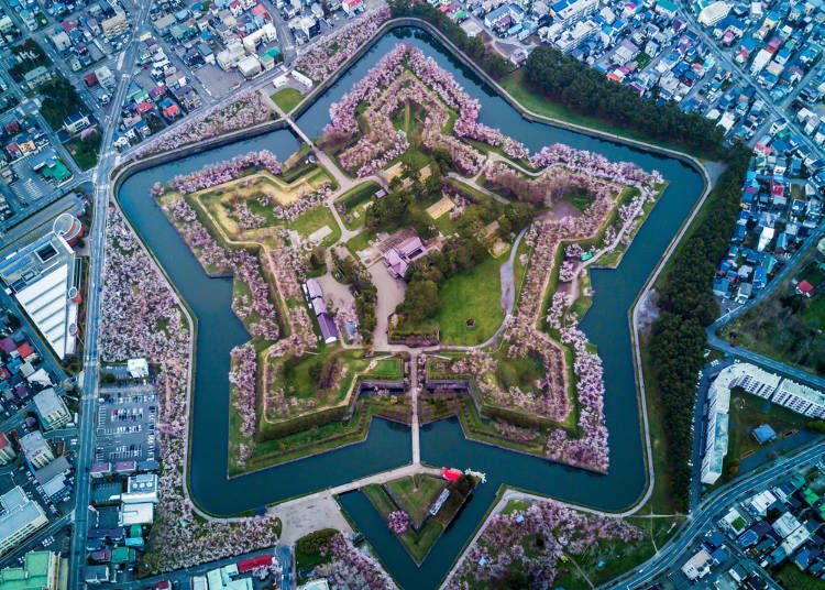 函館必玩3. 從「五稜郭塔」觀賞有美麗櫻花的五稜郭公園