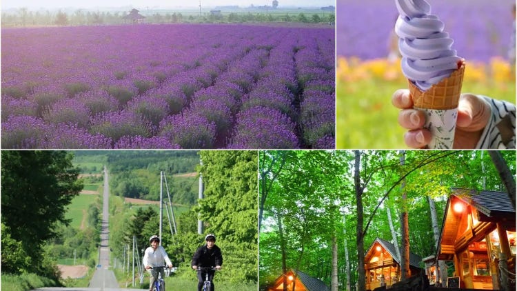 Top 10 Things To Do in Furano & Biei - Flowers & More in Japan’s Gorgeous North!