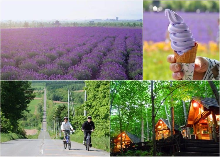 Top 20 Things to Do in Furano: Your Ultimate Guide to Unforgettable Sightseeing, Food, and Shopping