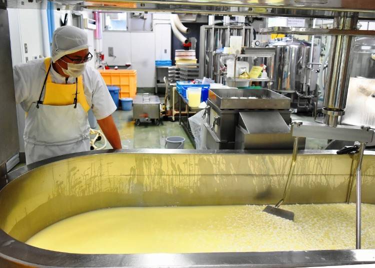 6．「富良野チーズ工房」でチーズ手作り体験