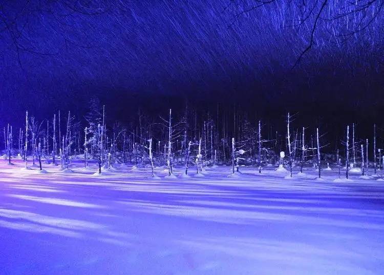 겨울의 시로가네 푸른 연못의 아름다움은 여름의 코발트 블루색과는 다르다.