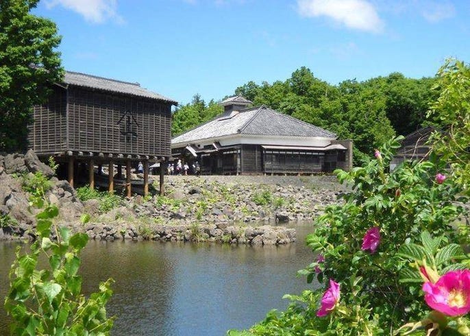 札幌近郊 到 北海道開拓村 穿越舊時光的北海道 Live Japan 日本旅遊 文化體驗導覽