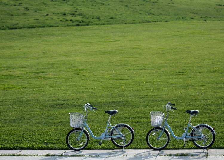 照片提供：莫埃來沼公園