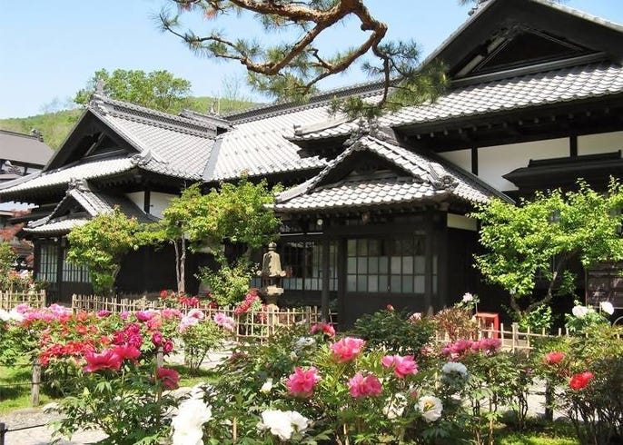 細數9處北海道花海景點 把握夏天6月 8月的絕佳賞花期 Live Japan 日本旅遊 文化體驗導覽