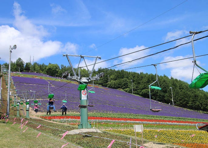細數9處北海道花海景點 把握夏天6月 8月的絕佳賞花期 Live Japan 日本旅遊 文化體驗導覽