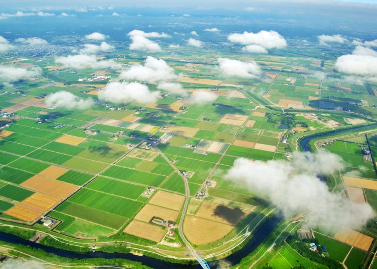 意外と効率的 広大な北海道を 飛行機 を使って周遊するコツ Live Japan 日本の旅行 観光 体験ガイド