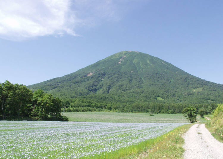 hokkaido road trip spring