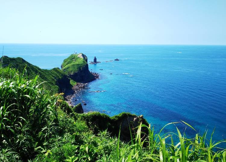 北海道8天7夜自由行之第3天：積丹絕美景色與世界知名的威士忌之旅