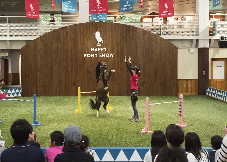 Fun “Happy Pony Show” performances