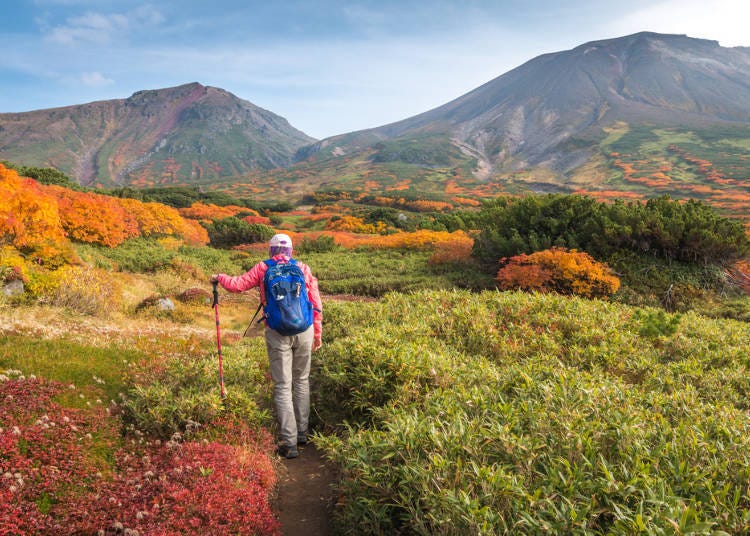 Beautiful autumn leaves along the mountain path