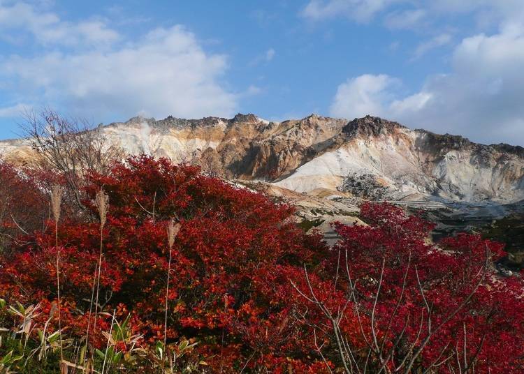 北海道道南红叶景点⑤如鲜红的地毯！ 「惠山」
