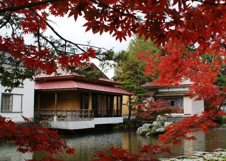 北海道道南红叶景点⑧沉浸在日式气氛「梅村庭园」