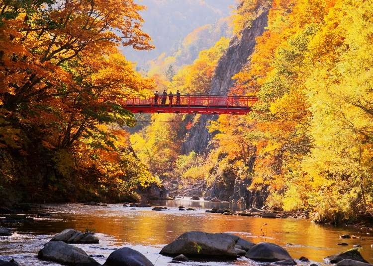 北海道道央札幌周边红叶景点8选：小樽、二世古、洞爷湖等