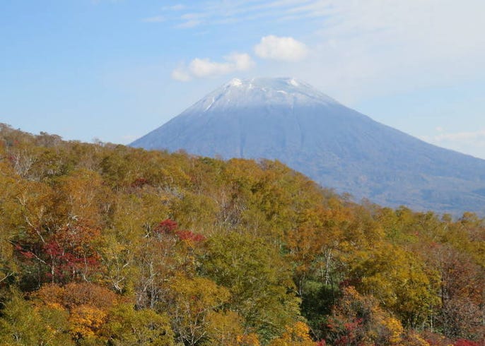 年 札幌 ニセコ 洞爺など道央の紅葉スポット8選 秋の観光に必見 Live Japan 日本の旅行 観光 体験ガイド