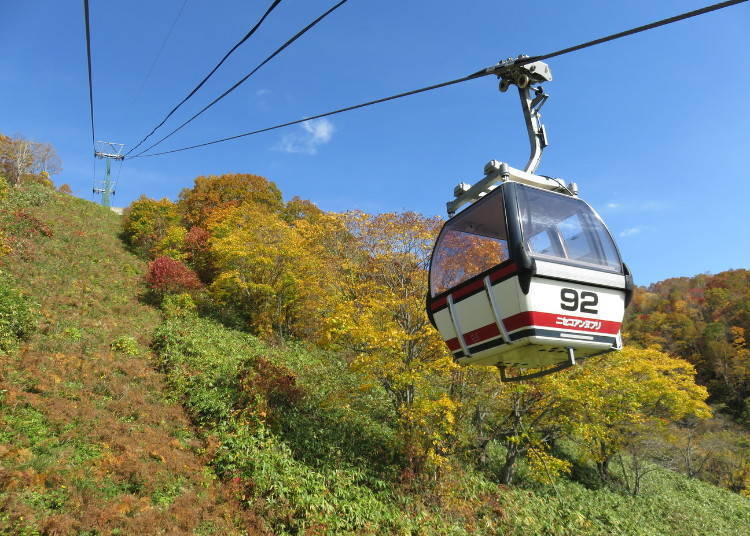 北海道道央红叶景点⑦从空中缆车欣赏红叶「新雪谷安努普利」（二世古町）