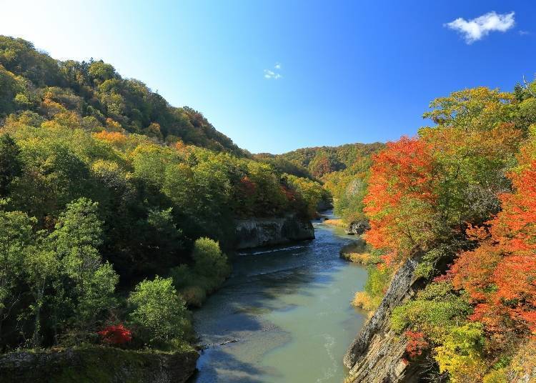 北海道道央红叶景点⑤险峻溪谷与红叶公园「泷之上公园」（夕张）