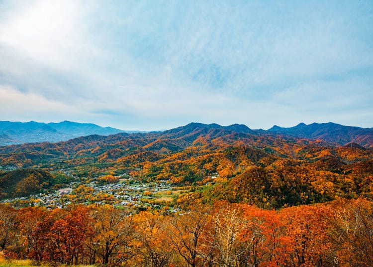 北海道道央红叶景点②享受从空中缆车眺望到的美景！ 「藻岩山」（札幌）