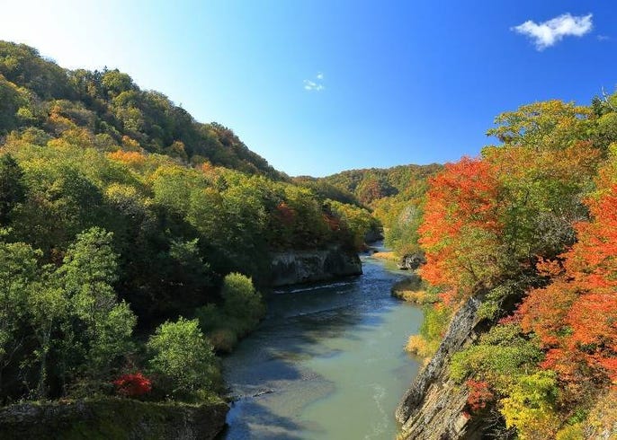最新 北海道道央紅葉景點8選 札幌 小樽 二世古 洞爺湖等 Live Japan 日本旅遊 文化體驗導覽