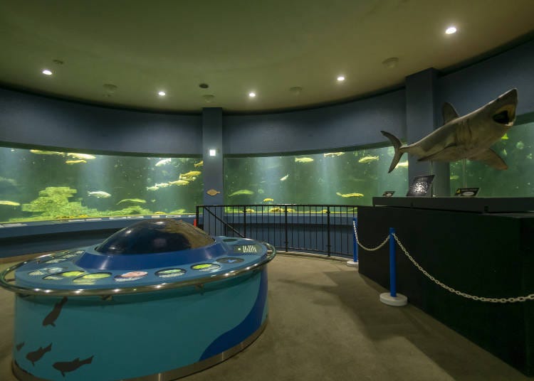 360度の水槽！「オホーツク海・ベーリング海」