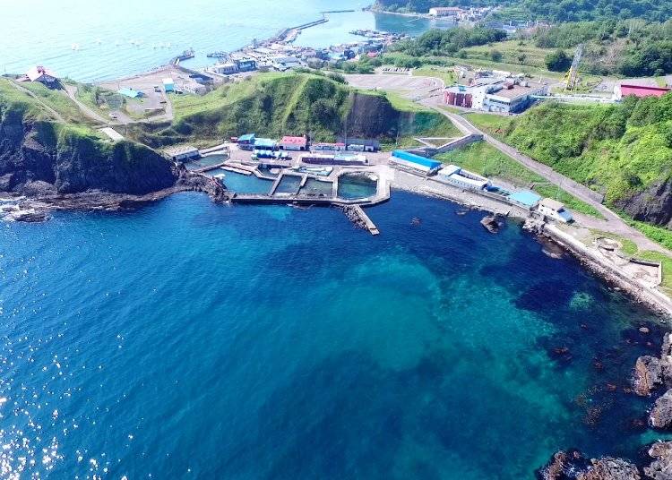 海の一部が展示エリアに！「海獣公園」