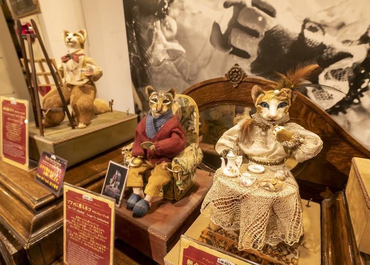 Cat lovers will find these mechanical cat dolls irresistibly charming!